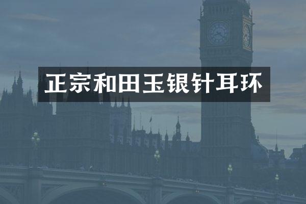 正宗和田玉银针耳环