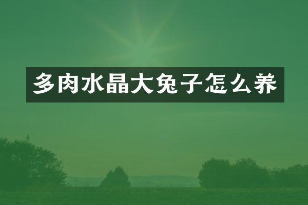 多肉水晶大兔子怎么养