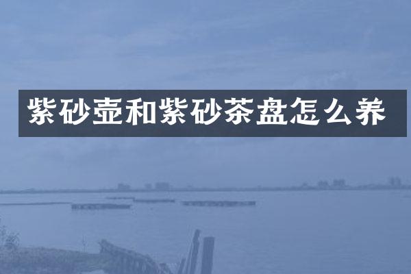 紫砂壶和紫砂茶盘怎么养