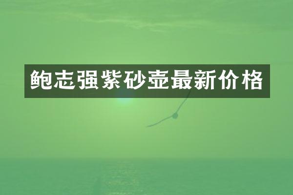 鲍志强紫砂壶最新价格