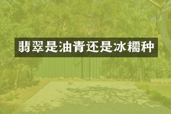 翡翠是油青还是冰糯种
