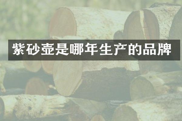 紫砂壶是哪年生产的品牌