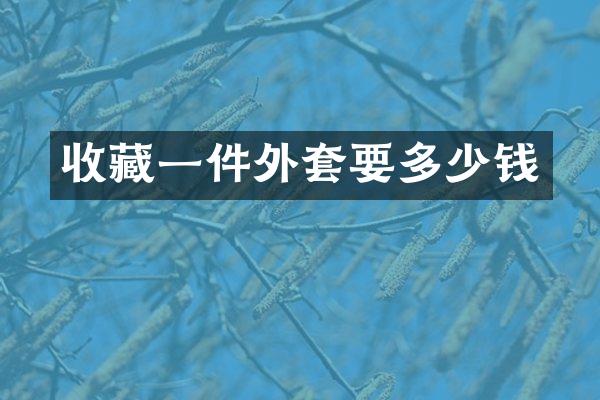 收藏一件外套要多少钱