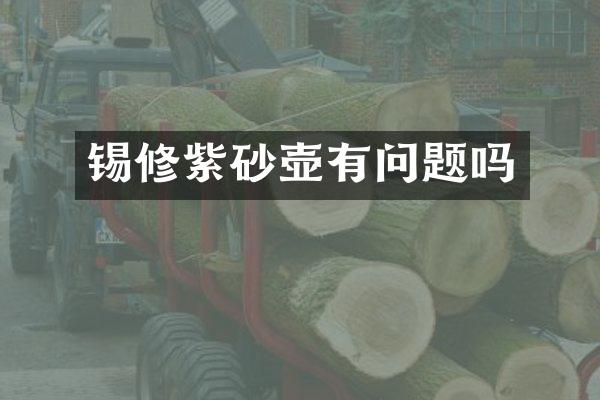 锡修紫砂壶有问题吗