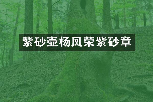 紫砂壶杨凤荣紫砂章