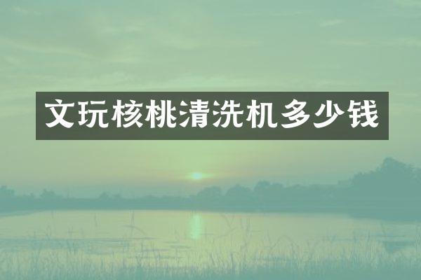文玩核桃清洗机多少钱