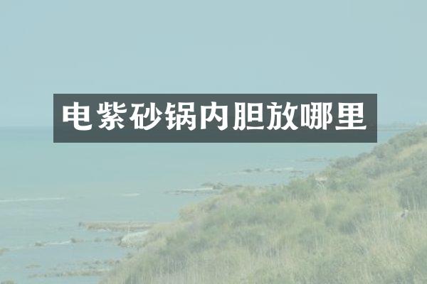 电紫砂锅内胆放哪里
