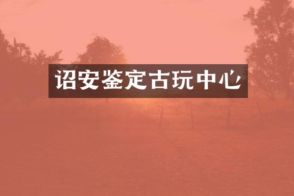 诏安鉴定古玩中心