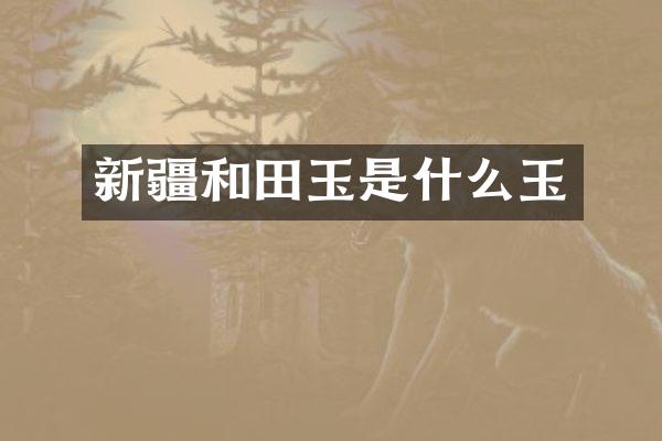 新疆和田玉是什么玉