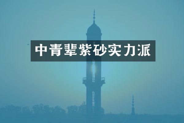 中青辈紫砂实力派
