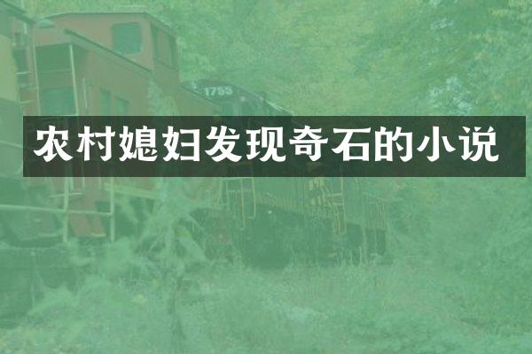 农村媳妇发现奇石的小说