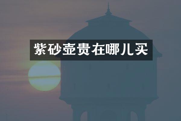 紫砂壶贵在哪儿买