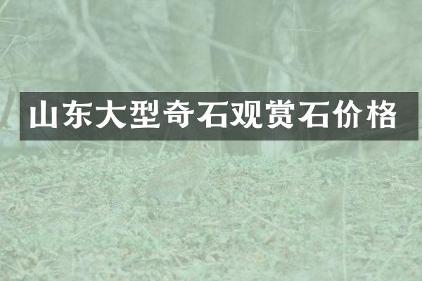 山东大型奇石观赏石价格