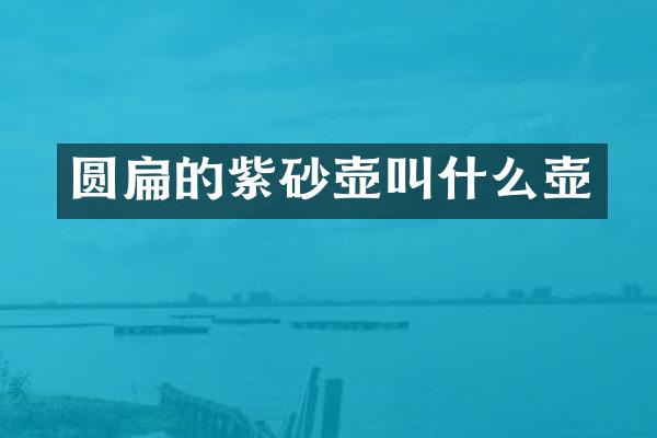 圆扁的紫砂壶叫什么壶