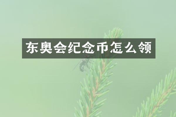 东奥会纪念币怎么领
