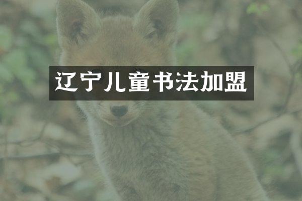 辽宁儿童书法加盟