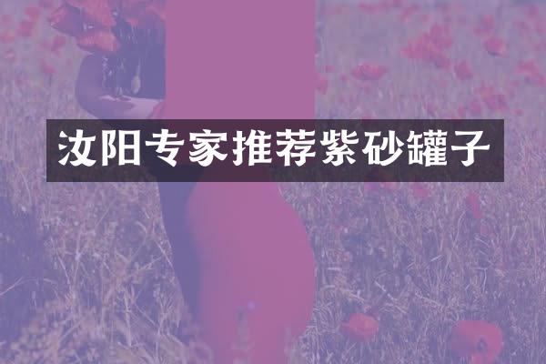 汝阳专家推荐紫砂罐子
