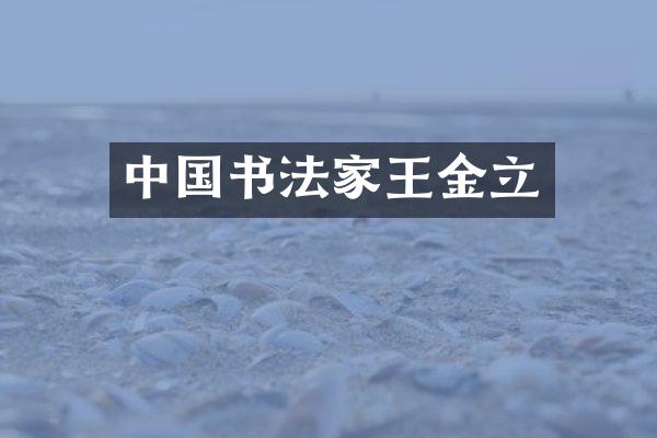 中国书法家王金立