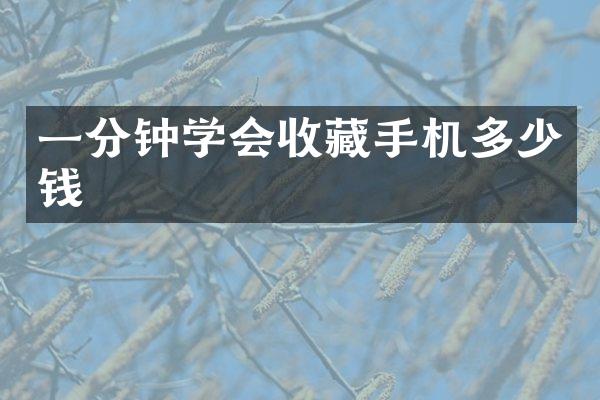 一分钟学会收藏手机多少钱