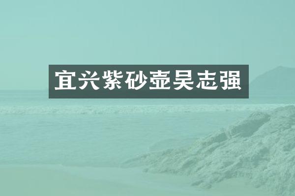宜兴紫砂壶吴志强