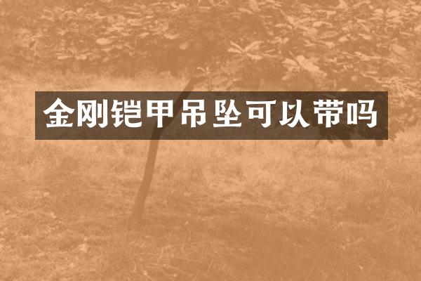 金刚铠甲吊坠可以带吗