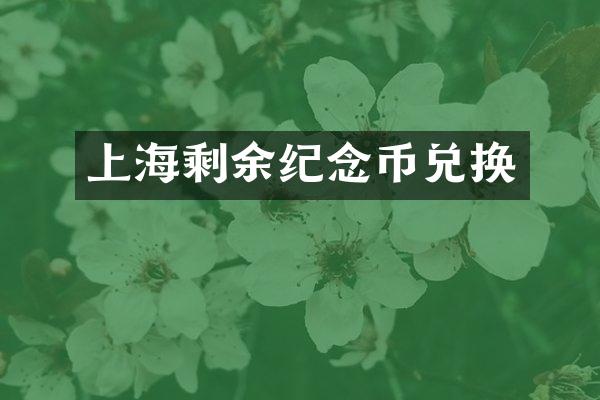 上海剩余纪念币兑换