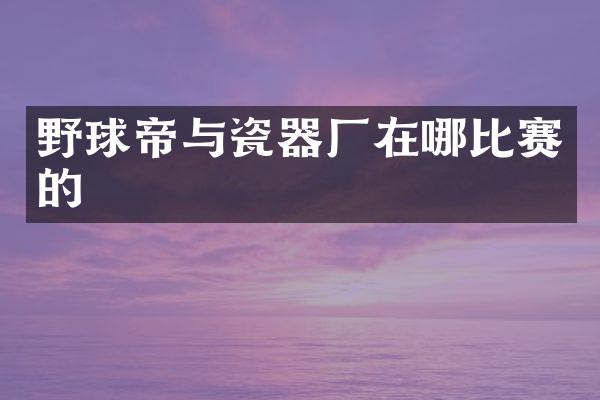野球帝与瓷器厂在哪比赛的