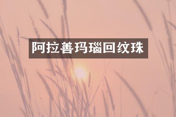 阿拉善玛瑙回纹珠