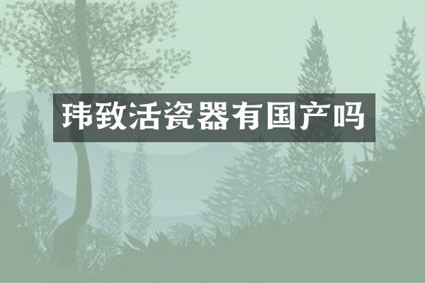 玮致活瓷器有国产吗