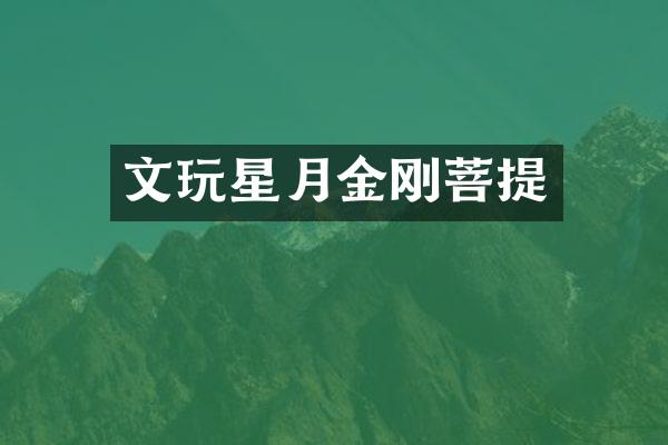 文玩星月金刚菩提
