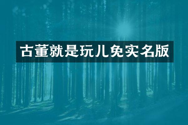 古董就是玩儿免实名版