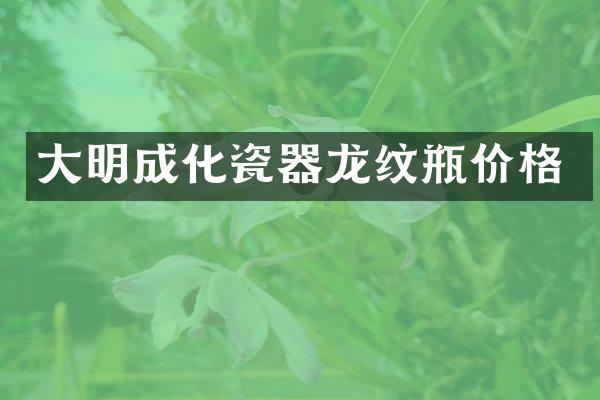 大明成化瓷器龙纹瓶价格
