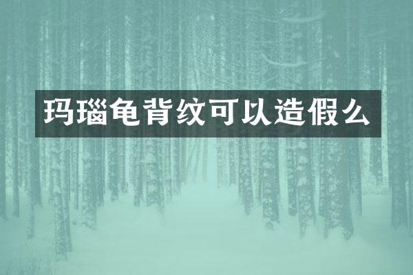 玛瑙龟背纹可以造假么