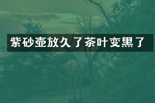 紫砂壶放久了茶叶变黑了