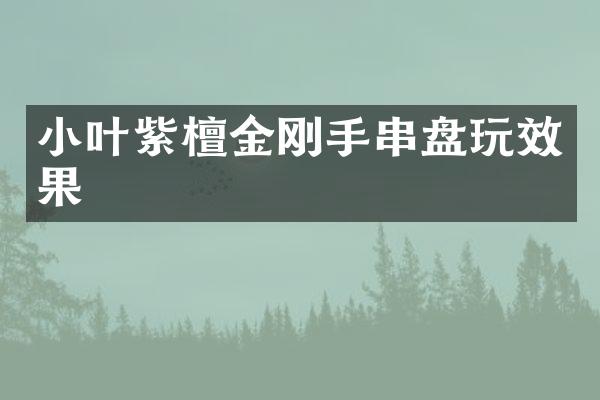 小叶紫檀金刚手串盘玩效果