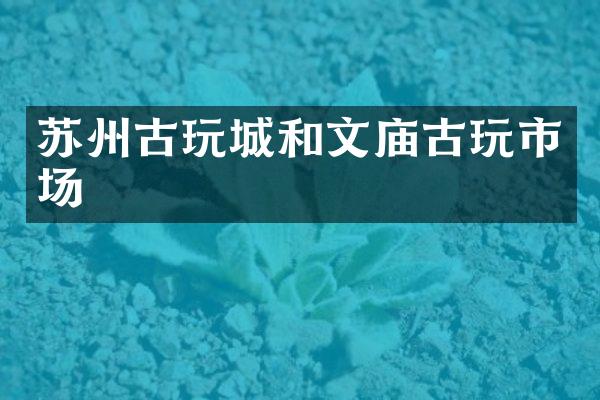 苏州古玩城和文庙古玩市场