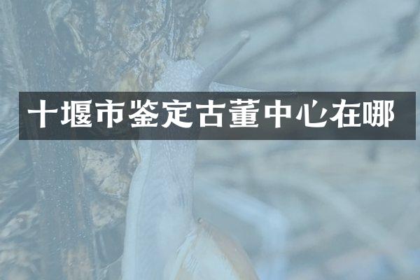 十堰市鉴定古董中心在哪