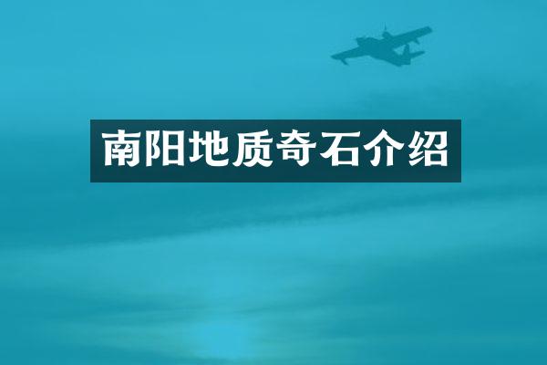 南阳地质奇石介绍