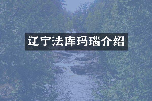辽宁法库玛瑙介绍