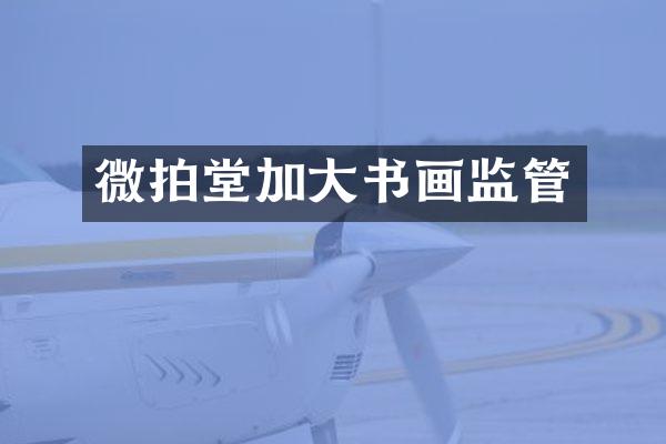 微拍堂加大书画监管