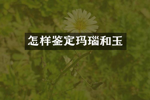 怎样鉴定玛瑙和玉