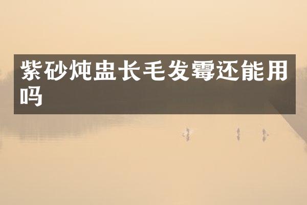 紫砂炖盅长毛发霉还能用吗