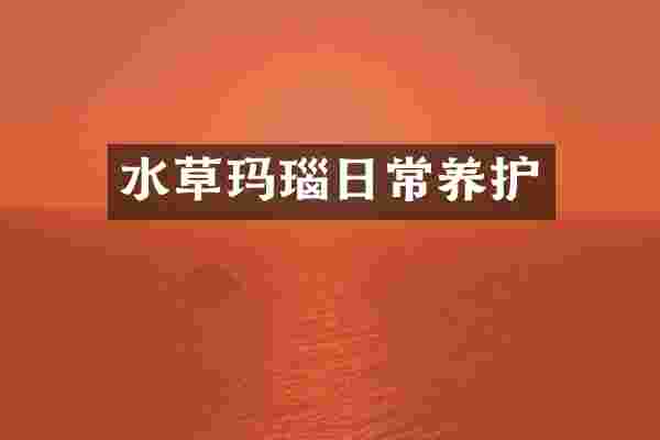 水草玛瑙日常养护