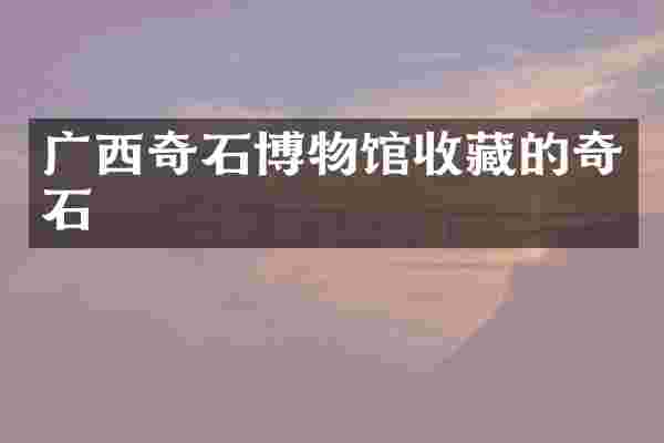 广西奇石博物馆收藏的奇石