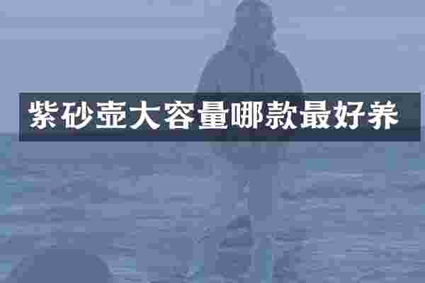 紫砂壶大容量哪款最好养