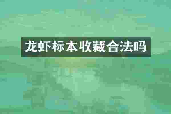 龙虾标本收藏合法吗