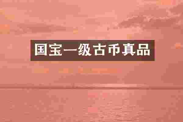 国宝一级古币真品