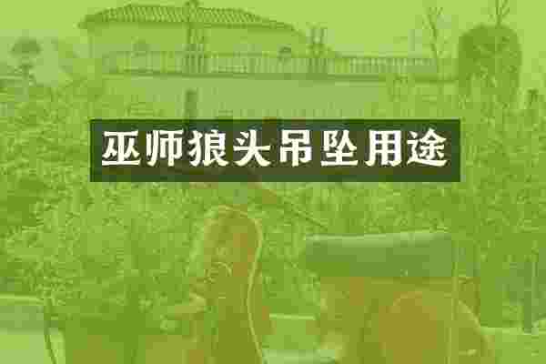 巫师狼头吊坠用途