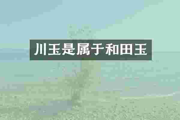川玉是属于和田玉
