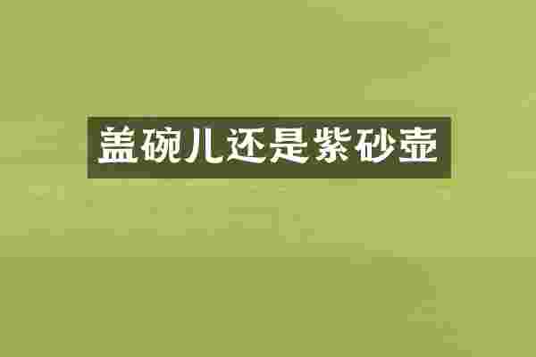 盖碗儿还是紫砂壶